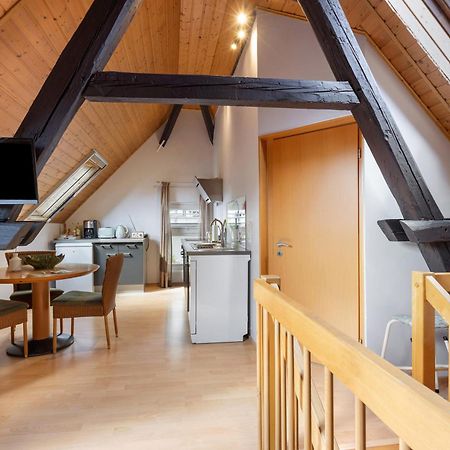 Ferienwohnung An Der Brigach Donaueschingen Εξωτερικό φωτογραφία