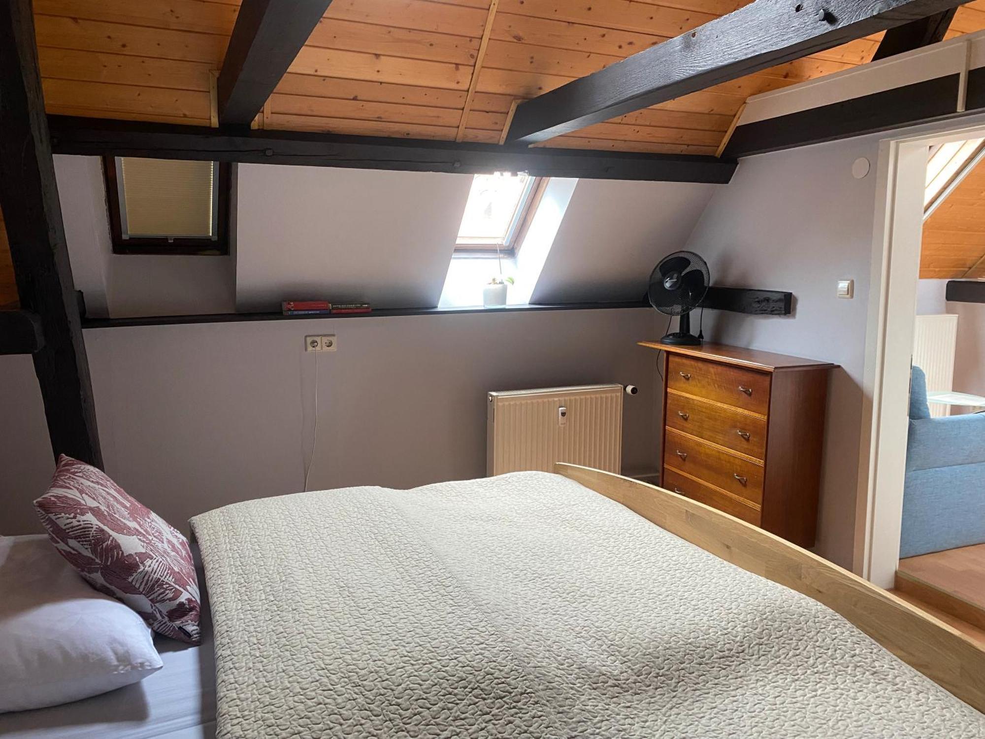 Ferienwohnung An Der Brigach Donaueschingen Εξωτερικό φωτογραφία