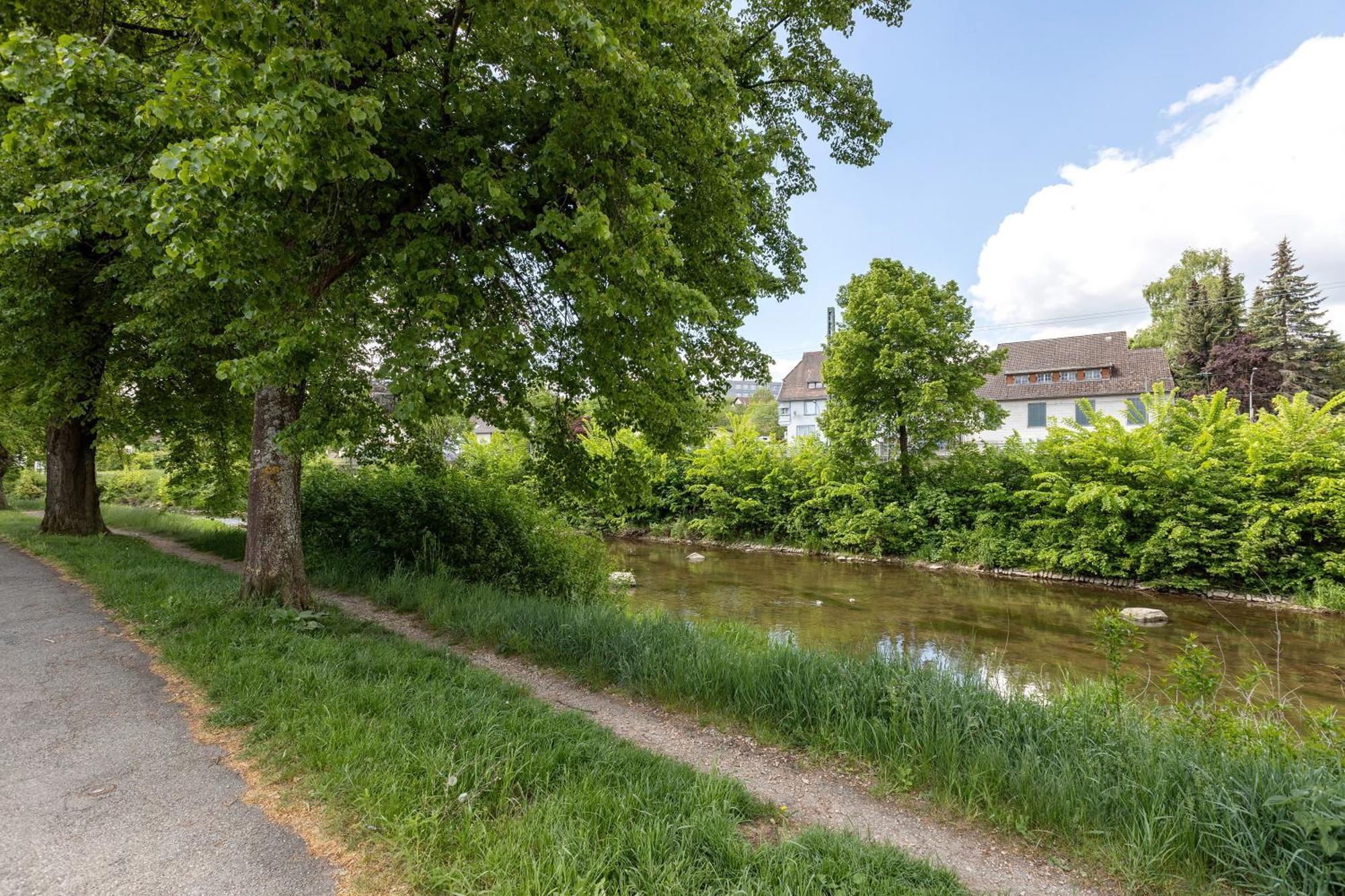 Ferienwohnung An Der Brigach Donaueschingen Εξωτερικό φωτογραφία